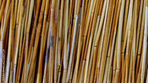 Bamboo background