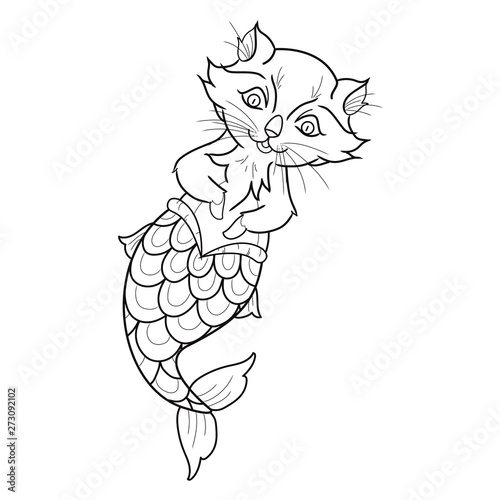gato triton vector 