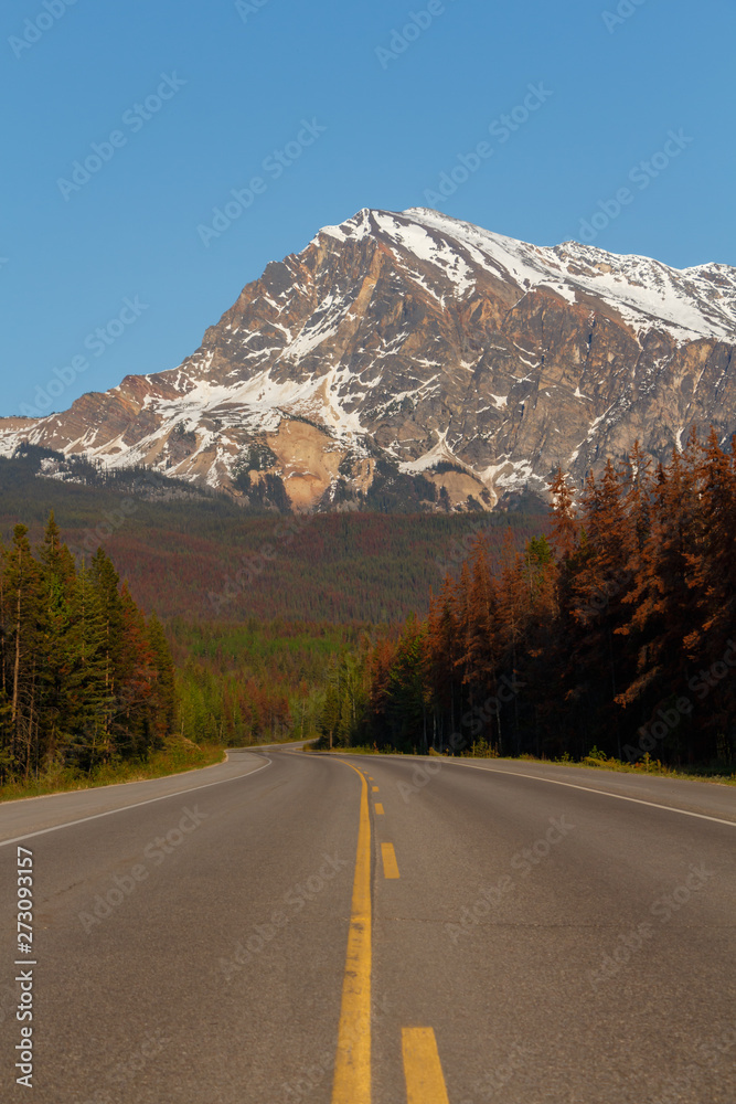 Naklejka premium Empty road leading to big mountain