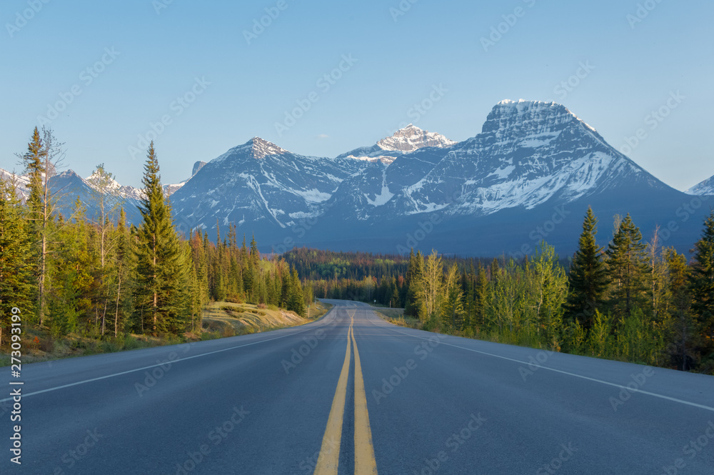 Fototapeta premium Evening road lined with trees leading to high mountains