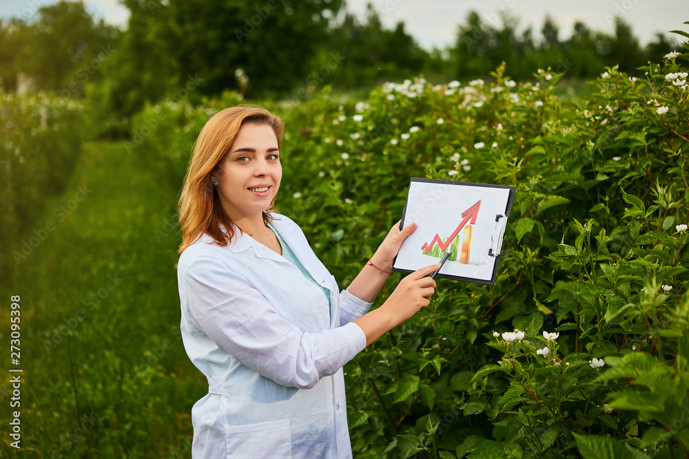 Woman scientist working in fruit garden and shows the level of crop growth using infographics. Biologist inspector examines blackberry bushes Woman scientist working in fruit garden and shows the level of crop growth using infographics. Biologist inspector examines blackberry bushes