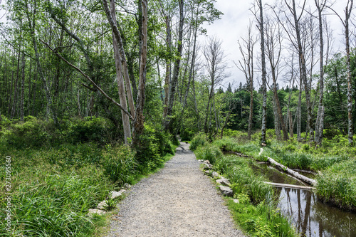 easy hiking trail in the park near Killarney Lake Bowen island british columbia.