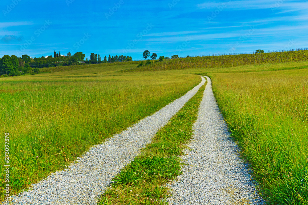 Paesaggio di campagna. Paesaggio di campagna.