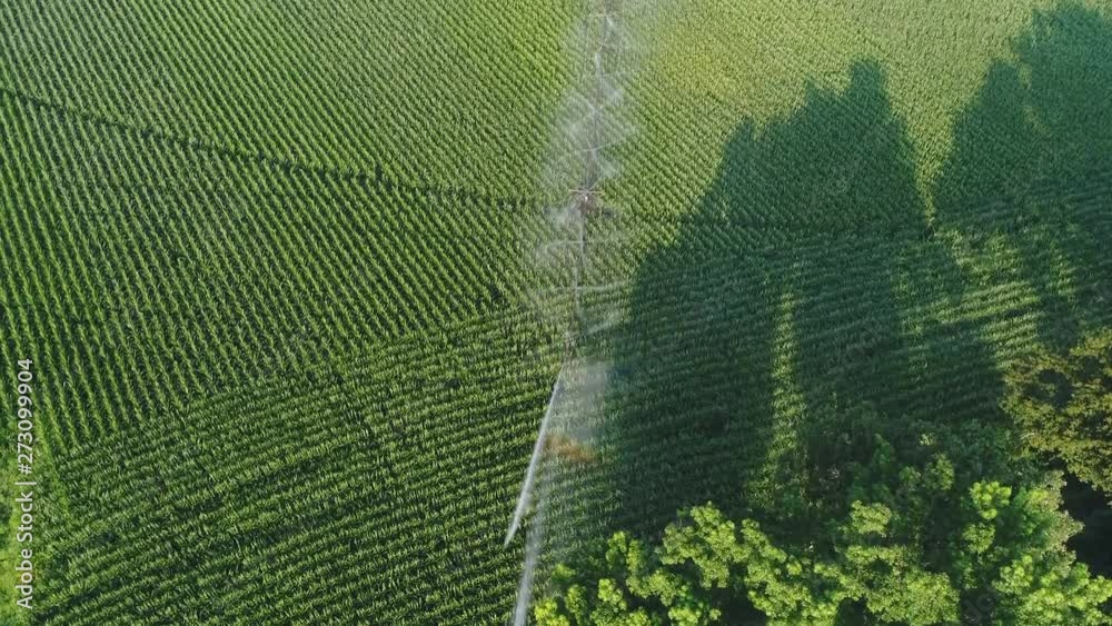 aerial view of the irrigation system on the green field