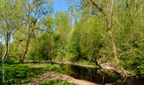 The Sablino nature reserve. photo