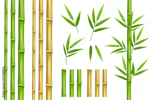 Slika na platnu Bamboo green and brown decoration elements in realistic style