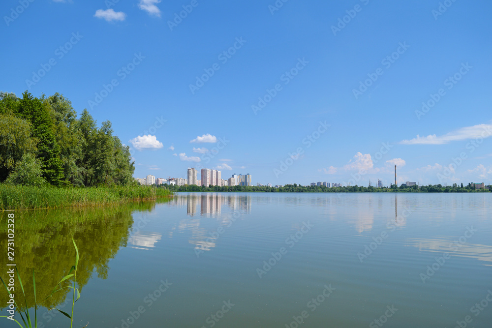View of a large lake among the plants. Summer landscape.