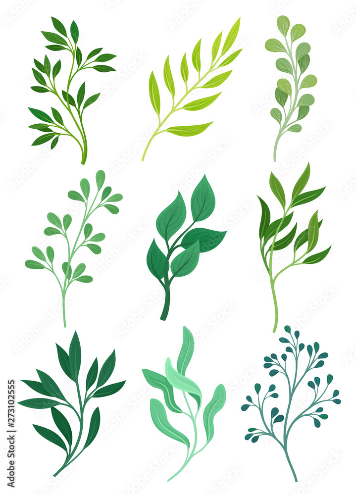 Set of stems with leaves. Vector illustration on white background. Set of stems with leaves. Vector illustration on white background.