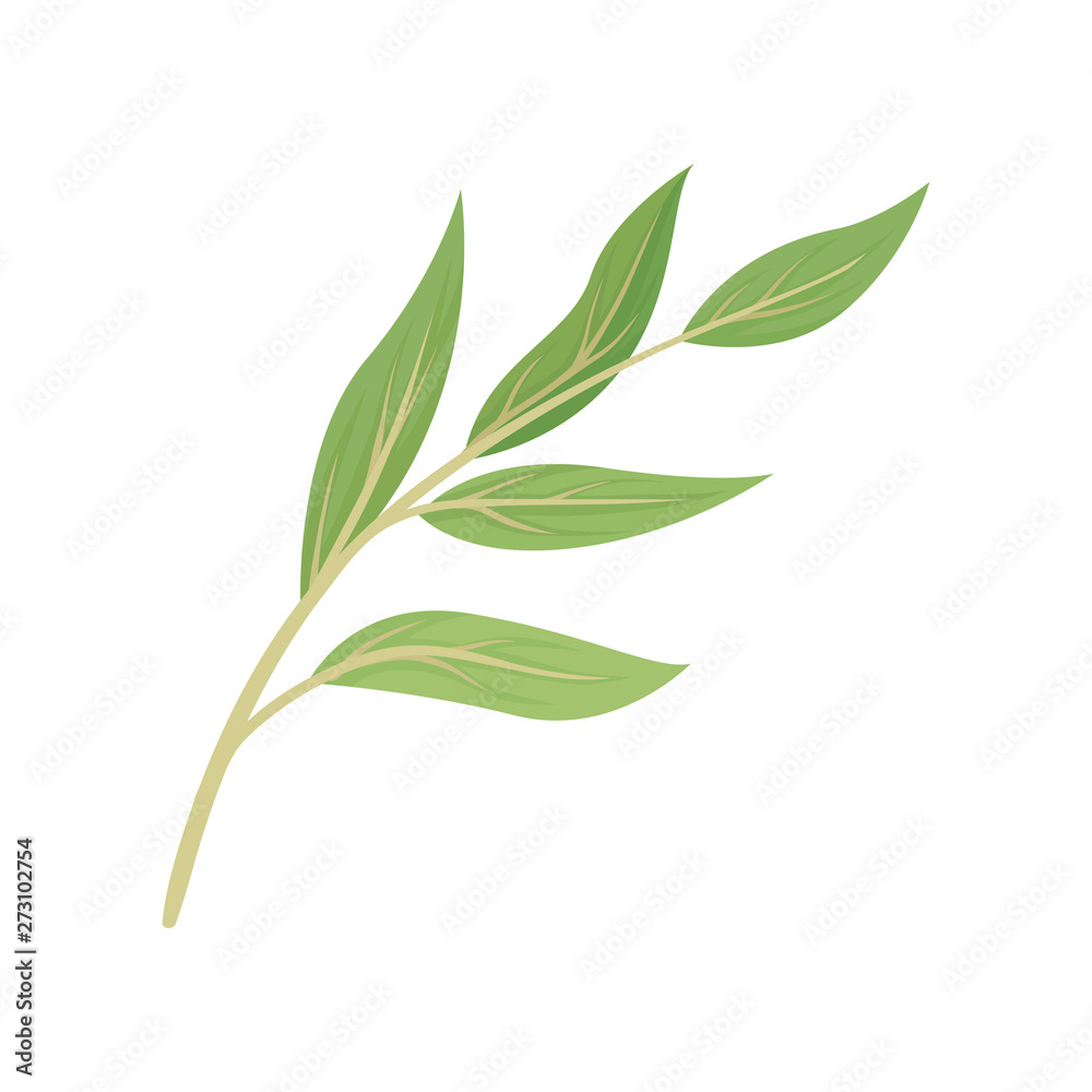 Beige stem with leaves. Vector illustration on white background. Beige stem with leaves. Vector illustration on white background.