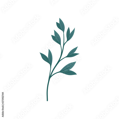 Dark green stem with leaves. Vector illustration on white background.