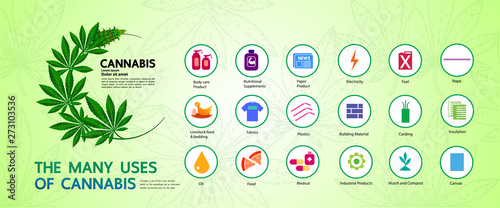 Cannabis with many benefits vector illustration.