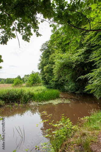 River near estate Mensinge Roden. Peizer diep. Drente Netherlands