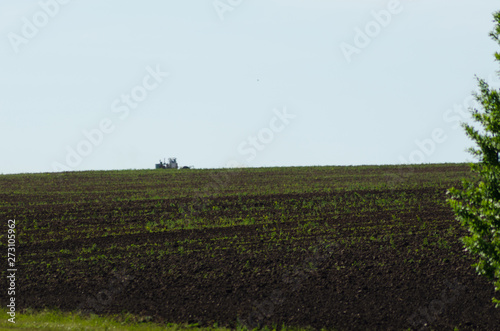 cultivated field and tractor  countryside summer landscape