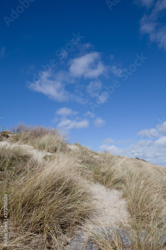 Island of Vlieland. Waddenzee. Netherlands. Dunes