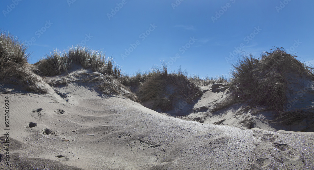 Island of Vlieland. Waddenzee. Dunes and beach. Dutch coast Island of Vlieland. Waddenzee. Dunes and beach. Dutch coast