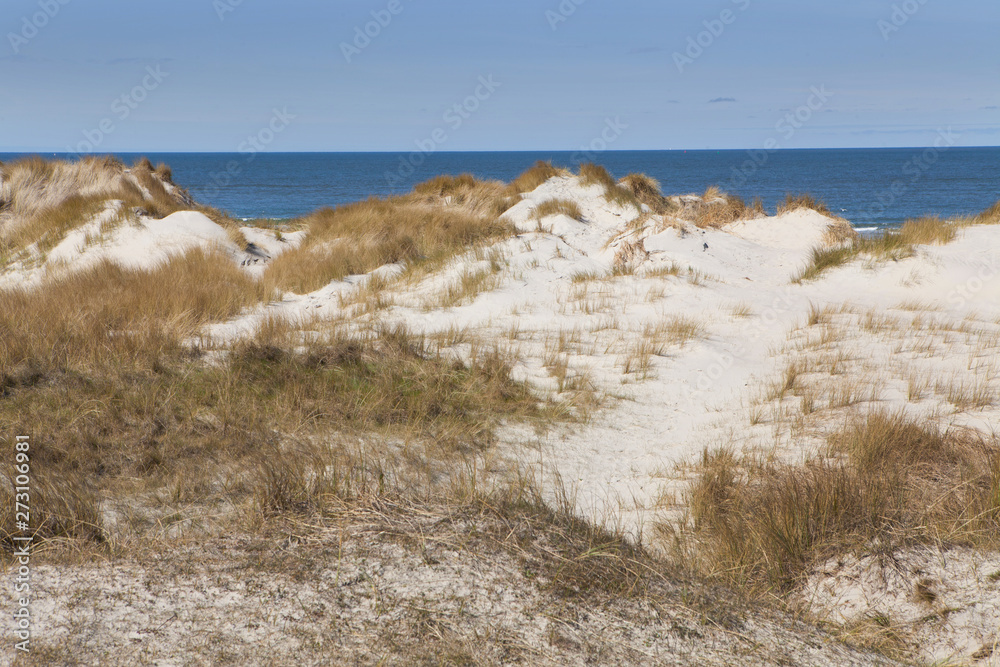 Island of Vlieland. Waddenzee. Dunes and beach. Dutch coast