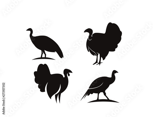 set turkey bird black logo icon design vector illustration photo