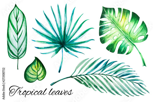 Beautiful tropical leaves set. Monstera, palm. Watercolor painting. Exotic plant. Natural print. Sketch drawing. Botanical composition. Greeting card. Painted background. Hand drawn illustration.