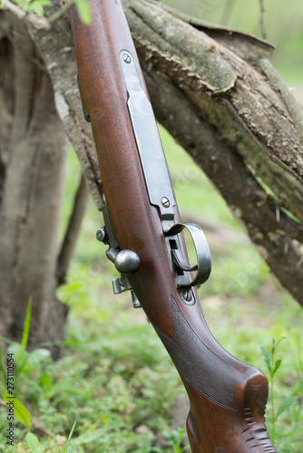 Fototapeta Naklejka Na Ścianę i Meble -  Old Rifle Resting Against a Forrest Tree
