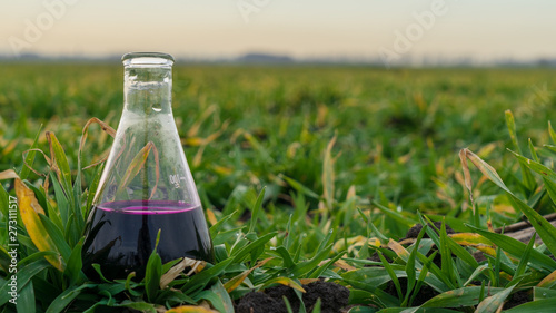 Image of a glass flask with a chemical solution on the background of young shoots of agricultural plants.