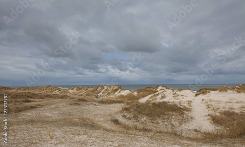 Dunes at the island of Vlieland. Waddenzee Netherlands. Coast
