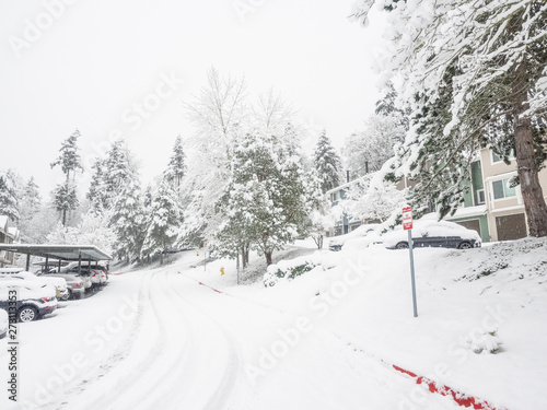 Snowpocalypse in Bellevue photo