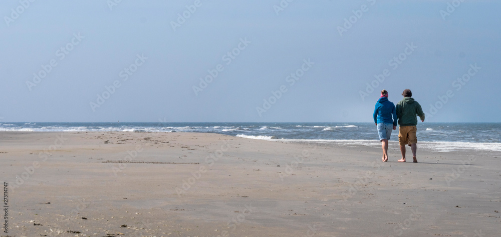 Dutch coast. Netherlands. Beach at the island of Texel. tracks Dutch coast. Netherlands. Beach at the island of Texel. tracks