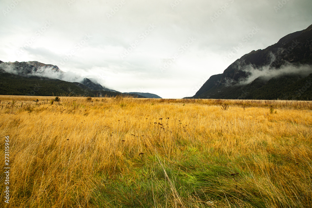 Dry meadow with mountain mist landscape on the way to Milford Sound, New Zealand.