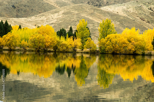 Marvelous scene of autumn with yellow trees reflect on mirror  lake background in New Zealand. photo
