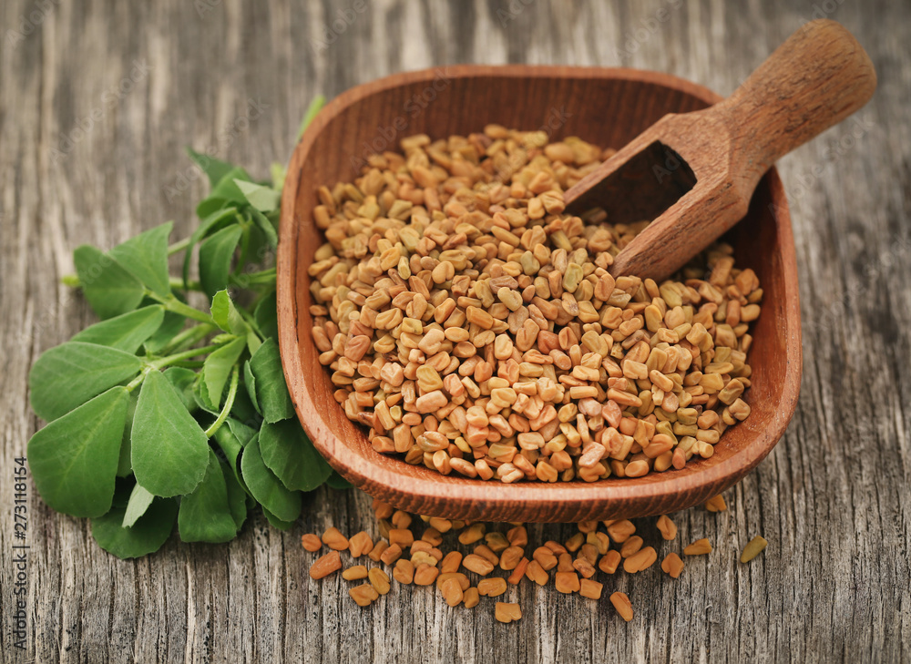 Fenugreek seeds with green leaves Fenugreek seeds with green leaves
