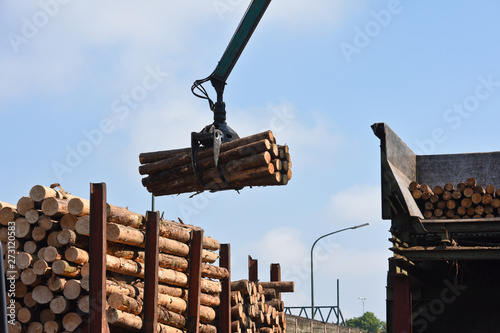 Photos scierie bois industrie scier grappin