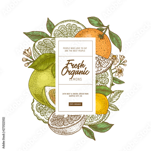 Fresh citrus design template. Engraved style illustration. Orange, flowers, lemon, tangerine. Vector illustration