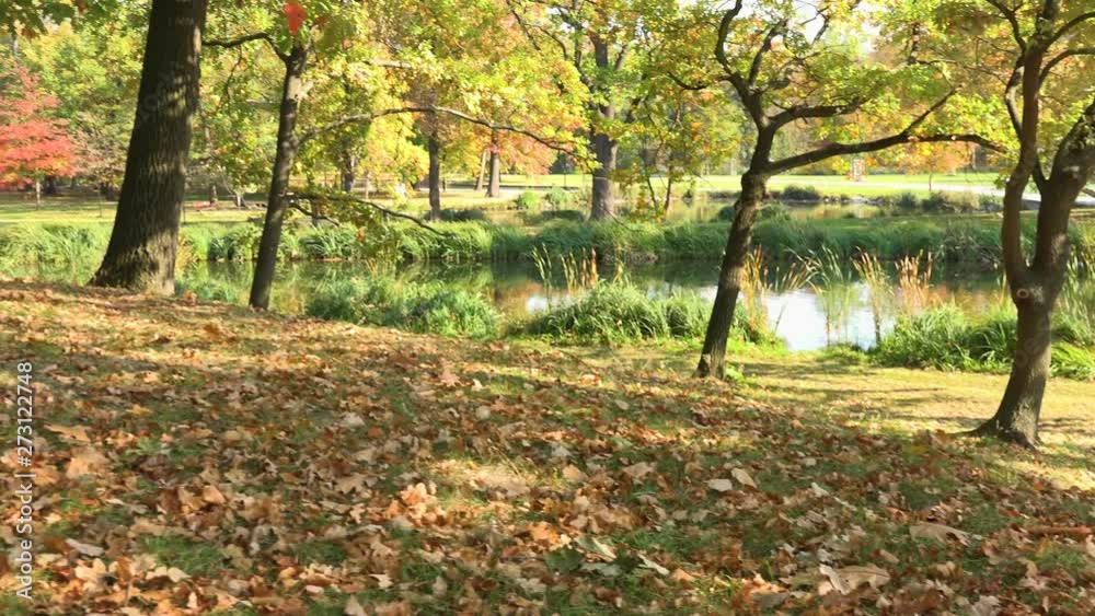 A beautiful park on a sunny day during fall - slider A beautiful park on a sunny day during fall - slider