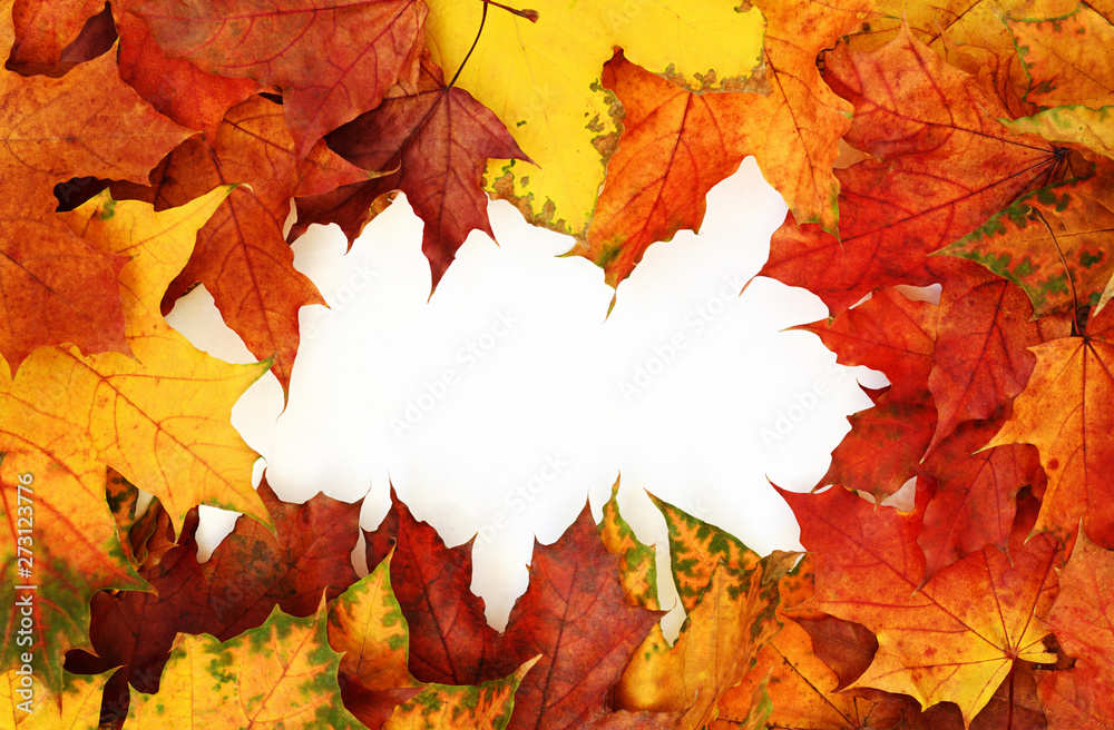 Frame with autumn colorful leaves on white background. Top view. Flat lay. Frame with autumn colorful leaves on white background. Top view. Flat lay.