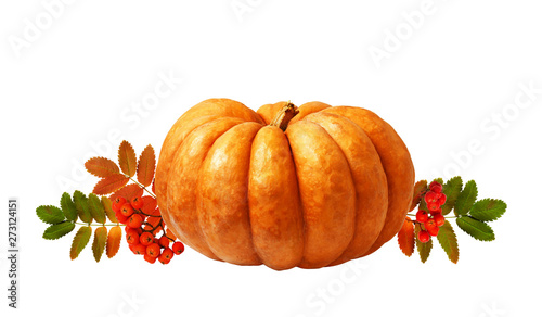 Large orange pumpkin