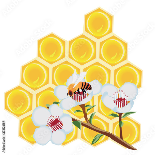 A  honeycomb and a bee on a flower