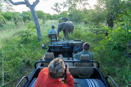 Photography safari in Africa by jeep national park reserves and parks of south africa