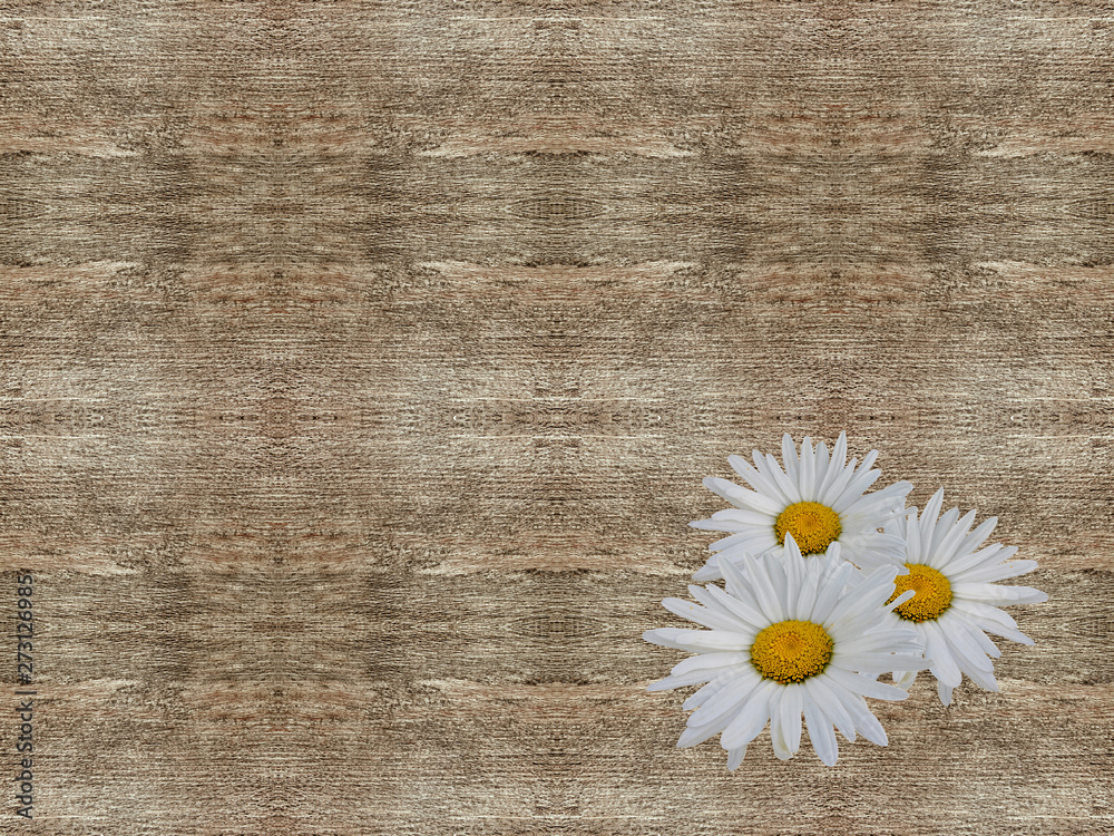 Obraz premium Daisies on wooden texture. Seamless pattern.
