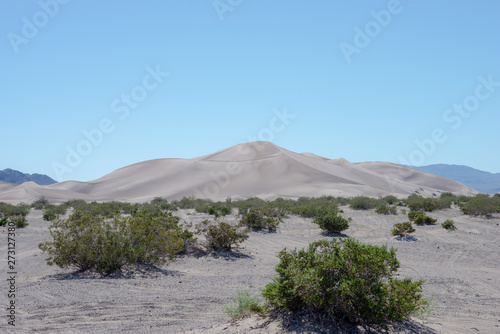 Big Dune