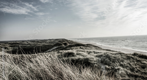 Nordic Nature: A panoramic view of the dunes at the West Coast in Denmark