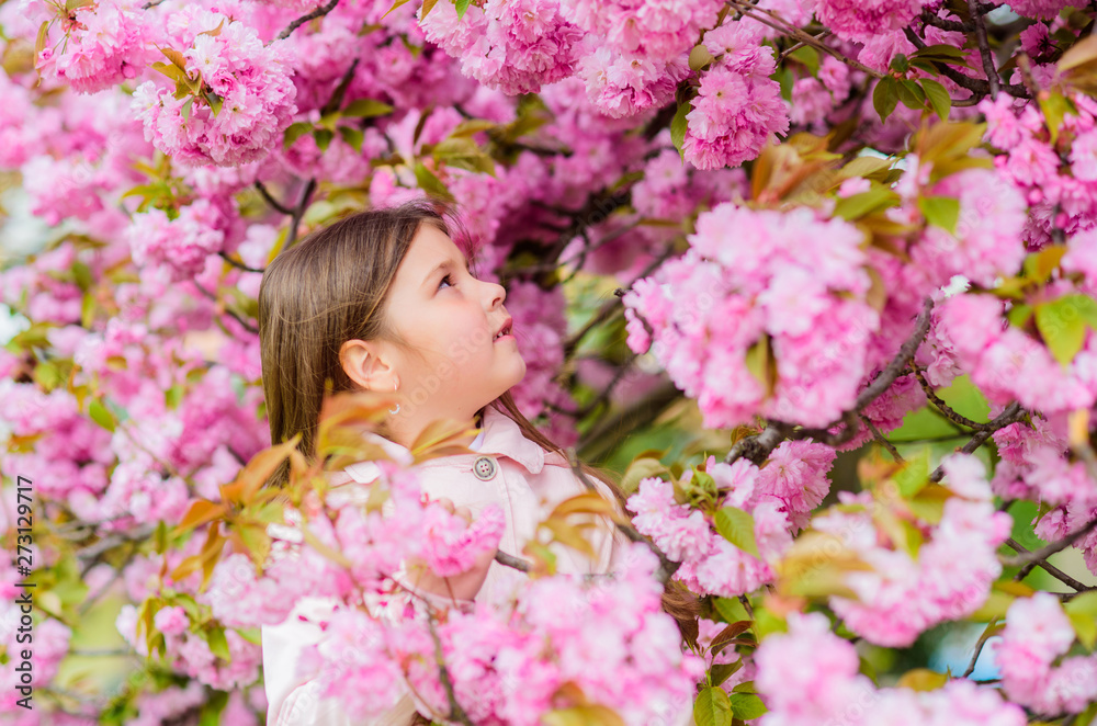 Sniffing flowers. Get rid of seasonal allergy. Girl enjoying floral aroma. Pollen allergy concept. Kid on pink flowers sakura tree background. Allergy remedy. Child enjoy life without allergy Sniffing flowers. Get rid of seasonal allergy. Girl enjoying floral aroma. Pollen allergy concept. Kid on pink flowers sakura tree background. Allergy remedy. Child enjoy life without allergy