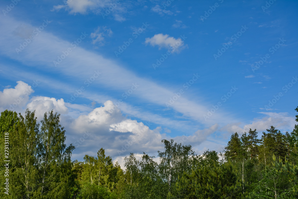 Beautiful white clouds over a green trees