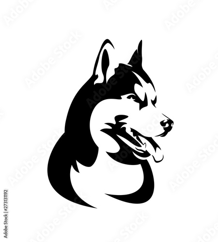 purebred siberian husky portrait - black and white dog head vector design