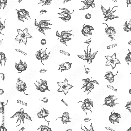 Ashwagandha seamless pattern hand drawn with berries, lives and branch in black color on white background. Retro vintage graphic design Botanical sketch drawing