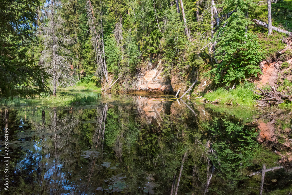 Obraz premium River in Latvia on a Summer Day