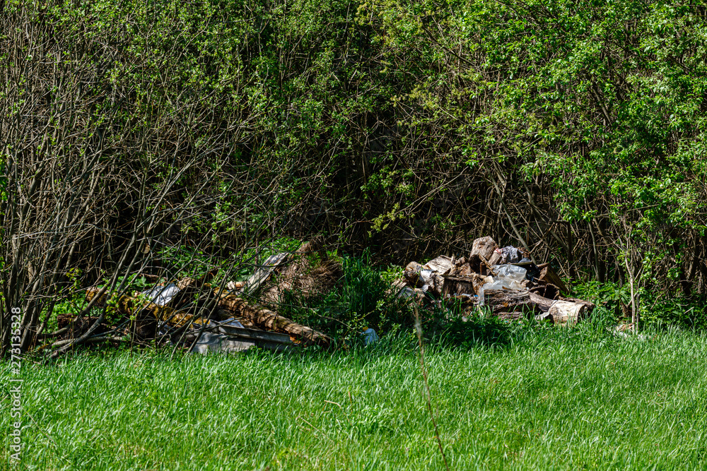 grass and foliage texture in country nature garden