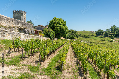 Obraz na płótnie SAINT-EMILION (Gironde, France), vignes autour du village w salonie
