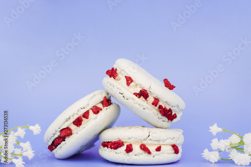 White macaroon with flowers on colored background