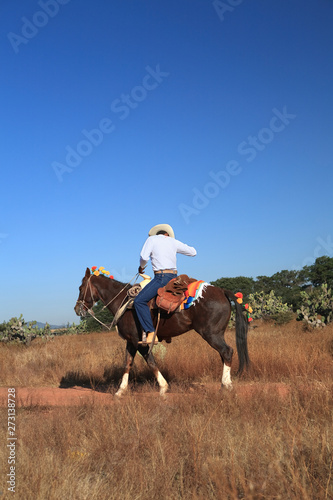 Mexican cowboy riding a horse dressed with flowers for Day of the Dead
