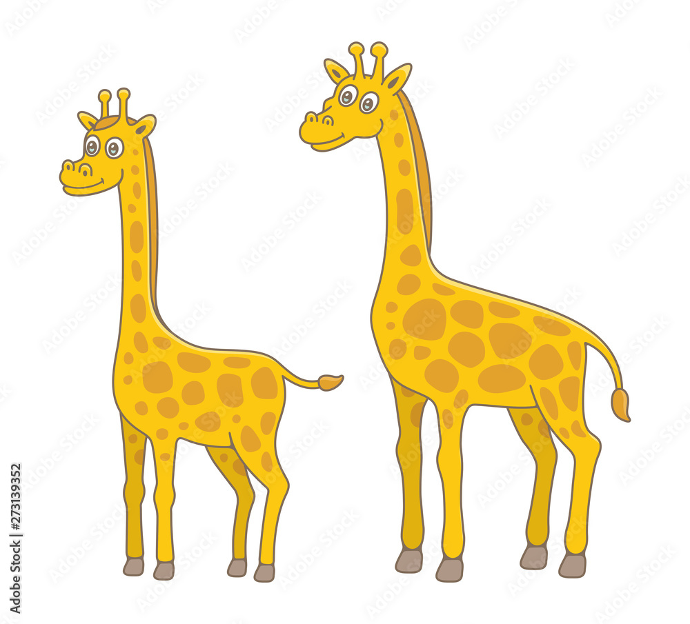 Set of Giraffes. isolated on white background Set of Giraffes. isolated on white background